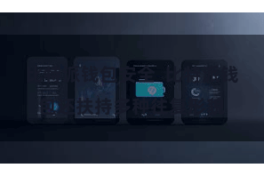 比特派钱包安全 比特派钱包还扶持多种往复形貌