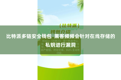 比特派多链安全钱包 黑客频频会针对在线存储的私钥进行漏洞