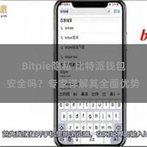 Bitpie隐私 比特派钱包安全吗？专家详解其全面优势