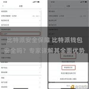 比特派安全保障 比特派钱包安全吗？专家详解其全面优势