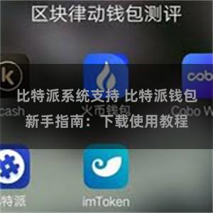 比特派系统支持 比特派钱包新手指南：下载使用教程