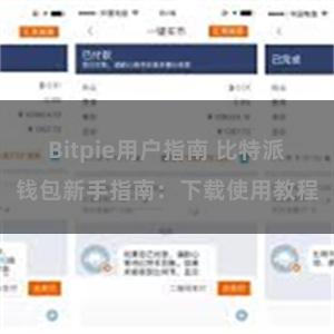 Bitpie用户指南 比特派钱包新手指南：下载使用教程