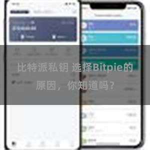 比特派私钥 选择Bitpie的原因，你知道吗？