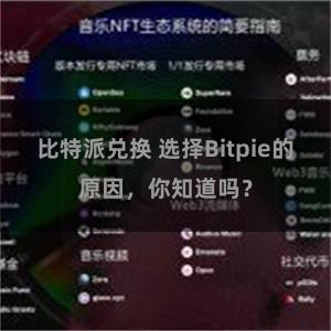 比特派兑换 选择Bitpie的原因，你知道吗？