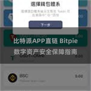 比特派APP直链 Bitpie数字资产安全保障指南