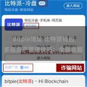 Bitpie地址 比特派钱包多链资产管理技巧：全面攻略