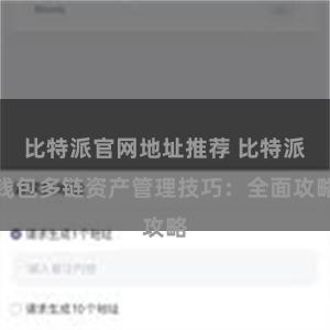 比特派官网地址推荐 比特派钱包多链资产管理技巧：全面攻略