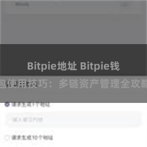 Bitpie地址 Bitpie钱包使用技巧：多链资产管理全攻略