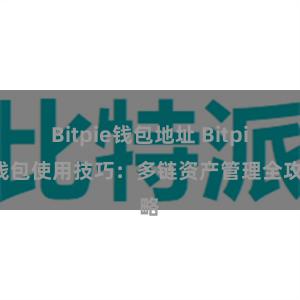 Bitpie钱包地址 Bitpie钱包使用技巧：多链资产管理全攻略