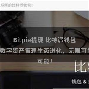 Bitpie提现 比特派钱包：数字资产管理生态进化，无限可能！