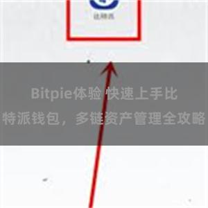 Bitpie体验 快速上手比特派钱包，多链资产管理全攻略