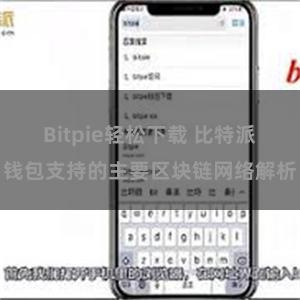 Bitpie轻松下载 比特派钱包支持的主要区块链网络解析