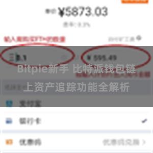 Bitpie新手 比特派钱包链上资产追踪功能全解析