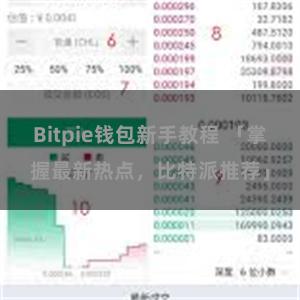 Bitpie钱包新手教程 「掌握最新热点，比特派推荐」