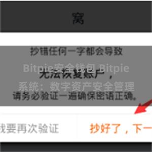 Bitpie安全钱包 Bitpie系统：数字资产安全管理