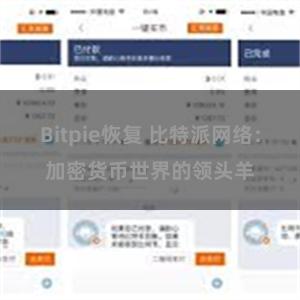 Bitpie恢复 比特派网络：加密货币世界的领头羊
