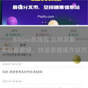 Bitpie热钱包 比特派新手必看教程，快速掌握操作技巧