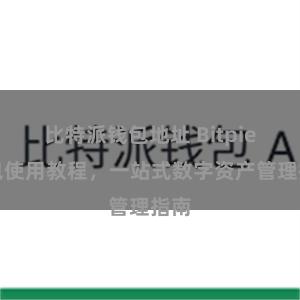 比特派钱包地址 Bitpie钱包使用教程，一站式数字资产管理指南