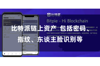 比特派链上资产  包括密码、指纹、东谈主脸识别等