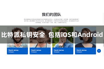 比特派私钥安全  包括iOS和Android