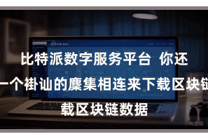 比特派数字服务平台  你还需要一个褂讪的麇集相连来下载区块链数据