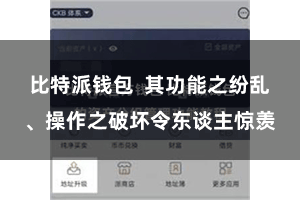 比特派钱包  其功能之纷乱、操作之破坏令东谈主惊羡