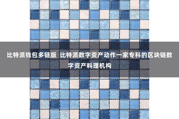 比特派钱包多链版  比特派数字资产动作一家专科的区块链数字资产料理机构