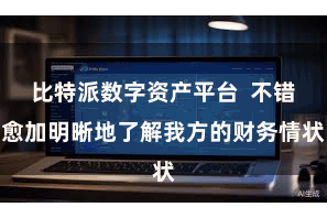比特派数字资产平台  不错愈加明晰地了解我方的财务情状