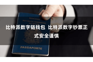 比特派数字链钱包  比特派数字钞票正式安全谨慎