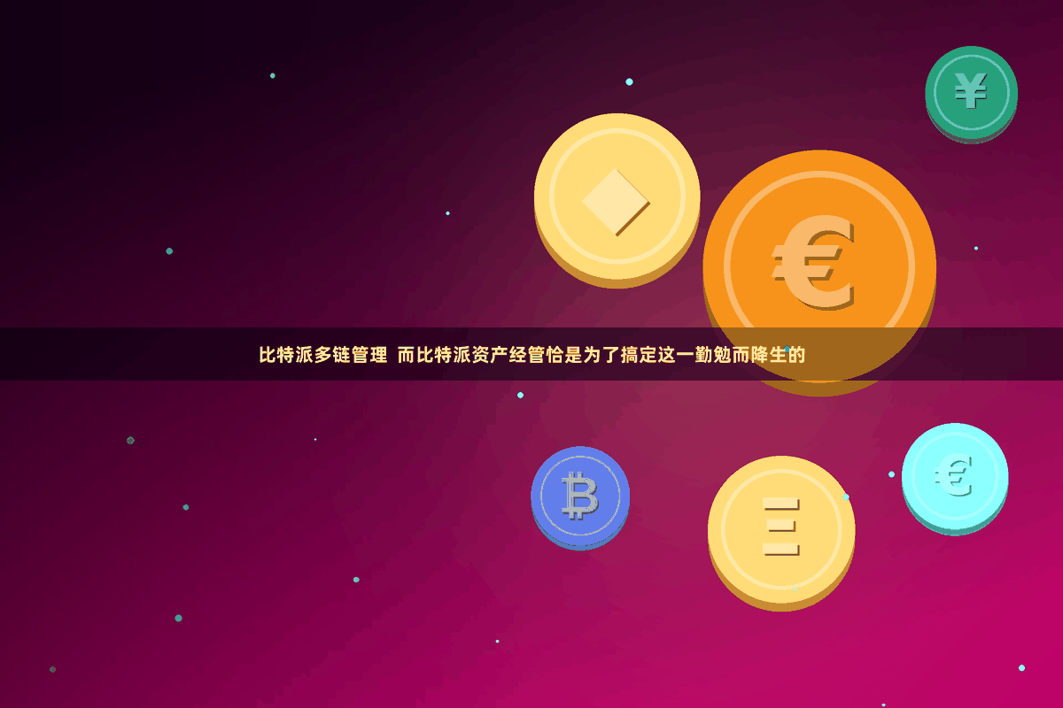 比特派多链管理  而比特派资产经管恰是为了搞定这一勤勉而降生的